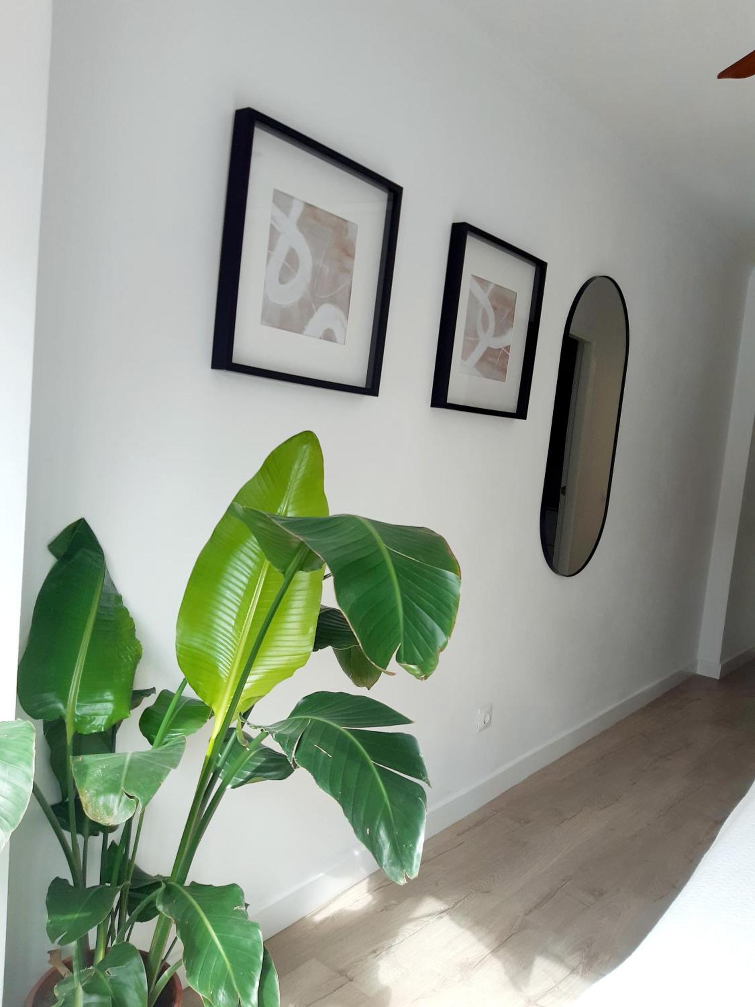Impressive Apartment With 3 Bedrooms Metres From The Beach Estepona Extérieur photo